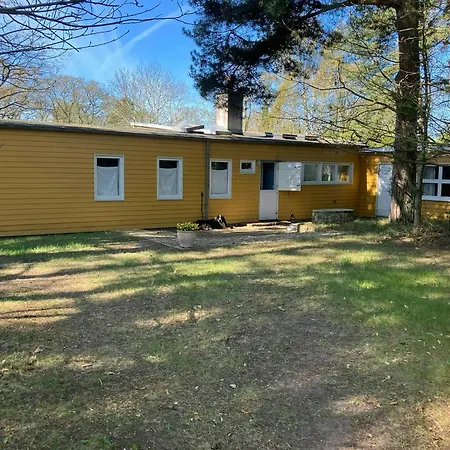 Yellow Summer House With Character And Tranquility Holiday home *